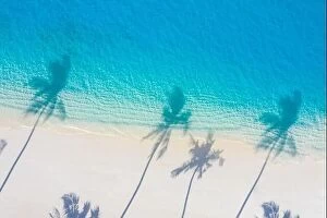 Images Dated 5th August 2019: Aerial beach, beautiful coastline. Palm trees and amazing sea lagoon. Turquoise water