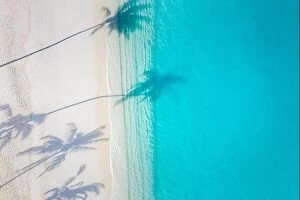Images Dated 6th August 2019: Aerial beach, beautiful coastline. Palm trees and amazing sea lagoon. Turquoise water