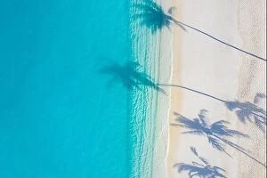 Images Dated 6th August 2019: Aerial beach, beautiful coastline. Palm trees and amazing sea lagoon. Turquoise water