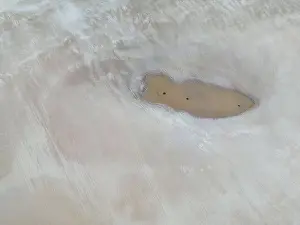 Overland Prints: Aerial close up of the surface of the huge salt flats Salinas Grandes de Jujuy in northern Argentina while traveling