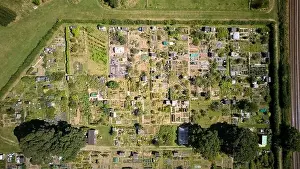Allotment Prints: Aerial drone birdseye view of allotments gardens in Norfolk