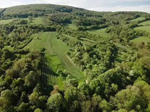 aerial drone flight over green meadows and forest in lower austria