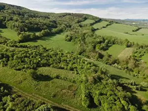 aerial drone flight over green meadows and forest in lower austria