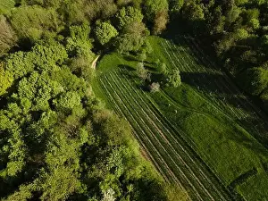 aerial drone flight over green meadows and forest in lower austria