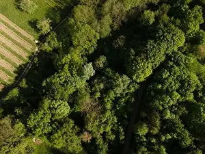 aerial drone flight over green meadows and forest in lower austria