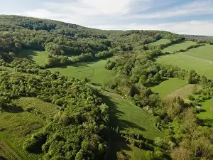 Hill Spring Prints: aerial drone flight over green meadows and forest in lower austria