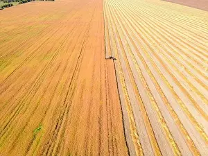 Aerial drone image of fields with diverse crop growth based on principle of polyculture