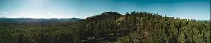 Chelyabinsk Prints: Aerial drone panoramic view of mountain peak with thin high tree trunks
