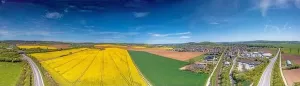 Power Plant Prints: Aerial drone picture of rape field in spring in typical bright yellow color during daytime