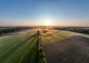 Aerial Drone Shot of a beautiful Green and Yellow Agricultural Plantations Bordering with Wild Forests in Belgium