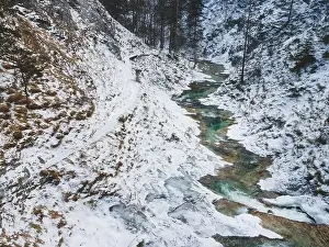 Forest Trees Prints: Aerial drone shot of snowy and icy winter landscape in the oetschergraeben