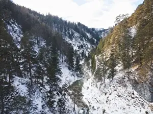 Forest Trees Prints: Aerial drone shot of snowy and icy winter landscape in the oetschergraeben