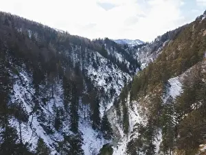 Forest Trees Prints: Aerial drone shot of snowy and icy winter landscape in the oetschergraeben