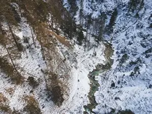 Forest Trees Prints: Aerial drone shot of snowy and icy winter landscape in the oetschergraeben