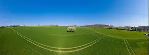Baden Wurttemberg Prints: Aerial drone view, agricultural landscape with blooming apple trees