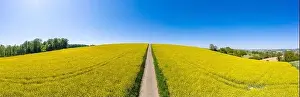Baden Wurttemberg Prints: Aerial drone view, field path runs through agricultural landscape