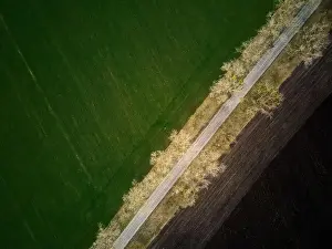 Farming Fields Prints: Aerial drone top view flight over ground land road and green field