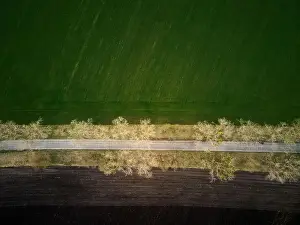 Farming Fields Prints: Aerial drone top view flight over ground land road and green field