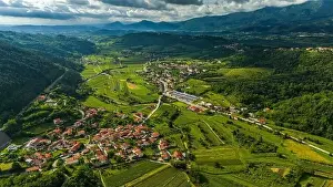 Green Valley Prints: Aerial Drone View of Green Rolling Hills and Vineyards in Vipava Valley