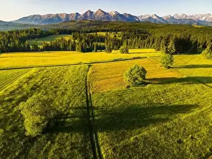 Tatra Prints: Aerial Drone View of Lapszanka Meadow and High Tatras in Poland