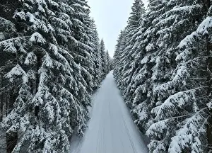 Aerial drone view of the road in idyllic winter landscape nature in a dense forest with fresh snow