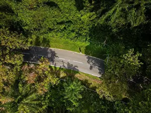 Aerial Shot Prints: Aerial drone view of a road through a lush green palm oil plantation in Sabah, Borneo