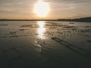 Aerial drone view of Rowo Jombro Lake with a lot of fish pond in Klaten, Indonesia