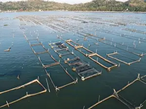 Fish Pond Prints: Aerial drone view of Rowo Jombro Lake with a lot of fish pond in Klaten, Indonesia
