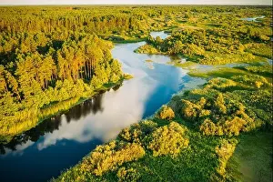 Aerial Elevated View Of Green Forest Growth On River Coast Landscape In Sunny Summer Evening