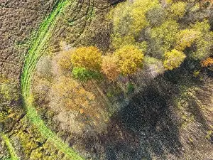 Vilnius Prints: AERIAL forest in amazing autumn shades with road hiding under treetops