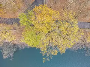 Vilnius Prints: AERIAL forest in amazing autumn shades with road hiding under treetops