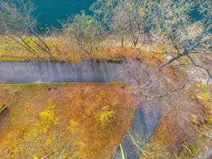 Vilnius Prints: AERIAL forest in amazing autumn shades with road hiding under treetops