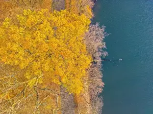 Vilnius Prints: AERIAL forest in amazing autumn shades with road hiding under treetops