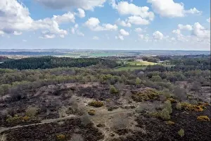 Heath Prints: Aerial landscape view of Waldridge Fell in County Durham