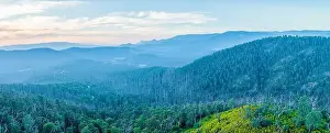 Forested Hill Prints: Aerial panorama of beautiful mountains and forested hills at sunset in Victoria, Australia