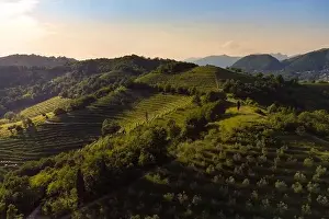 Pine Cone Prints: Aerial panorama of Montevecchia beautiful terraces of the lombardy countryside at sunset