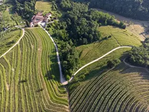Pine Cone Prints: Aerial panorama of Montevecchia beautiful terraces of the lombardy countryside at sunset