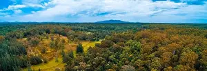 Australian Landscape Prints: Aerial panorama of native Australian forest with mountain in the background
