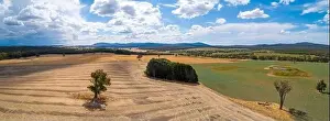 Long Shadows Prints: Aerial panorama of scenic fields and grasslands on bright summer day in Australia