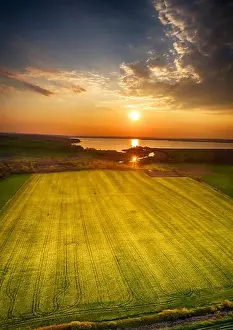 Oilseed Prints: Aerial panorama taken with flying drone with yellow rapeseed field and agricultural land at sunset