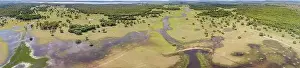 Lagoons Prints: Aerial panorama of typical Pantanal Wetlands landscape with lagoons