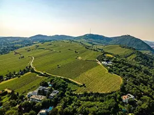 An aerial panorama of Vienna Nussdorf with vineyards rows with view on Danube