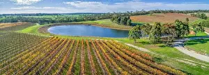 Mornington Prints: Aerial panorama of vineyard and pond on bright sunny day in fall