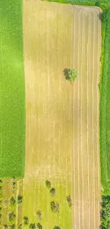 Top aerial panoramic view of green fields and meadows in summer