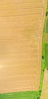 Top aerial panoramic view of green fields and meadows in summer
