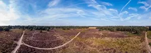 Aerial panoramic of wild British heathland in the Suffolk countryside