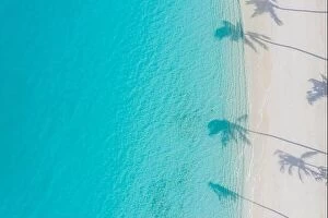 Images Dated 5th August 2019: Aerial paradise scenery. Tropical aerial landscape, seascape with palm leaves shadows amazing sea