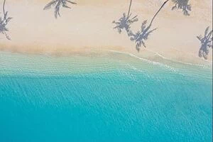 Images Dated 3rd August 2019: Aerial paradise scenery. Tropical aerial landscape, seascape with palm leaves shadows amazing sea