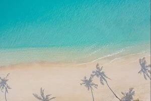 Images Dated 3rd August 2019: Aerial paradise scenery. Tropical aerial landscape, seascape with palm leaves shadows amazing sea
