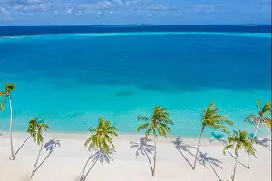 Aerial paradise scenery. Tropical aerial landscape, seascape with palm leaves shadows amazing sea and lagoon beach, tropical nature. Exotic tourism